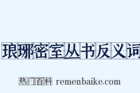 琅琊密室丛书反义词是什么意思的图片